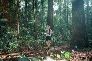 BIB: 
                            <button type="button" onclick="openModal(26076129)" class="btn btn-primary btn-sm float-right btn-popup" data-toggle="modal" data-target=".modal-high-quality">
                        <i class="fas fa-shopping-cart"></i> Add to Cart
                    </button>
                                            <button type="button" onclick="isThisMe(26076129, true)" class="btn btn-success btn-sm float-right btn-popup btn-isme hidden" data-toggle="tooltip" data-placement="bottom" title="นี่คือรูปของคุณใช่ไหม คลิกที่นี่เพื่อเอาเข้าอัลบั้ม">
                        <i class="fas fa-plus"></i> Add to album
                    </button>
                    <button type="button" onclick="isThisMe(26076129, false)" class="btn btn-warning btn-sm float-right btn-popup btn-isnotme hidden">
                        <i class="fas fa-ban"></i> Remove from album
                    </button>